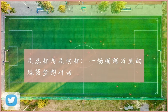 足总杯与足协杯：一场横跨万里的绿茵梦想对话