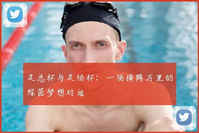 足总杯与足协杯:一场横跨万里的绿茵梦想对话